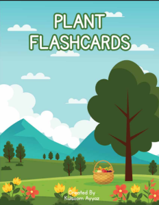 PLANT FLASHCARD